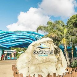 Sea World  San Diego 
