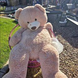 Oso De Peluche