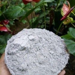 Wood Ash Sifted, garden Fertilizer, 5 Galon Bucket, Let Me Know How Much You Need So I Can Make Right Size/Amount For You.  