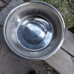 Big Dog Bowl