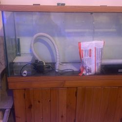 Hugh Fish Tank With All Types Of Equipment 