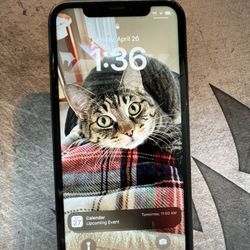 iPhone XR 64GB