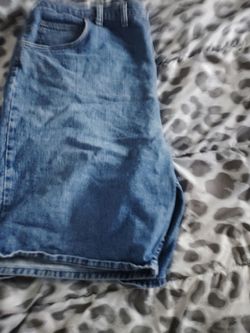 Jorts