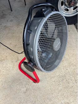 Fan