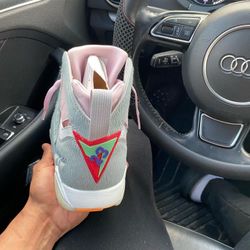 Air Jordan Hare 2.0