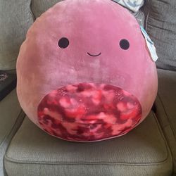 Squishmallow 