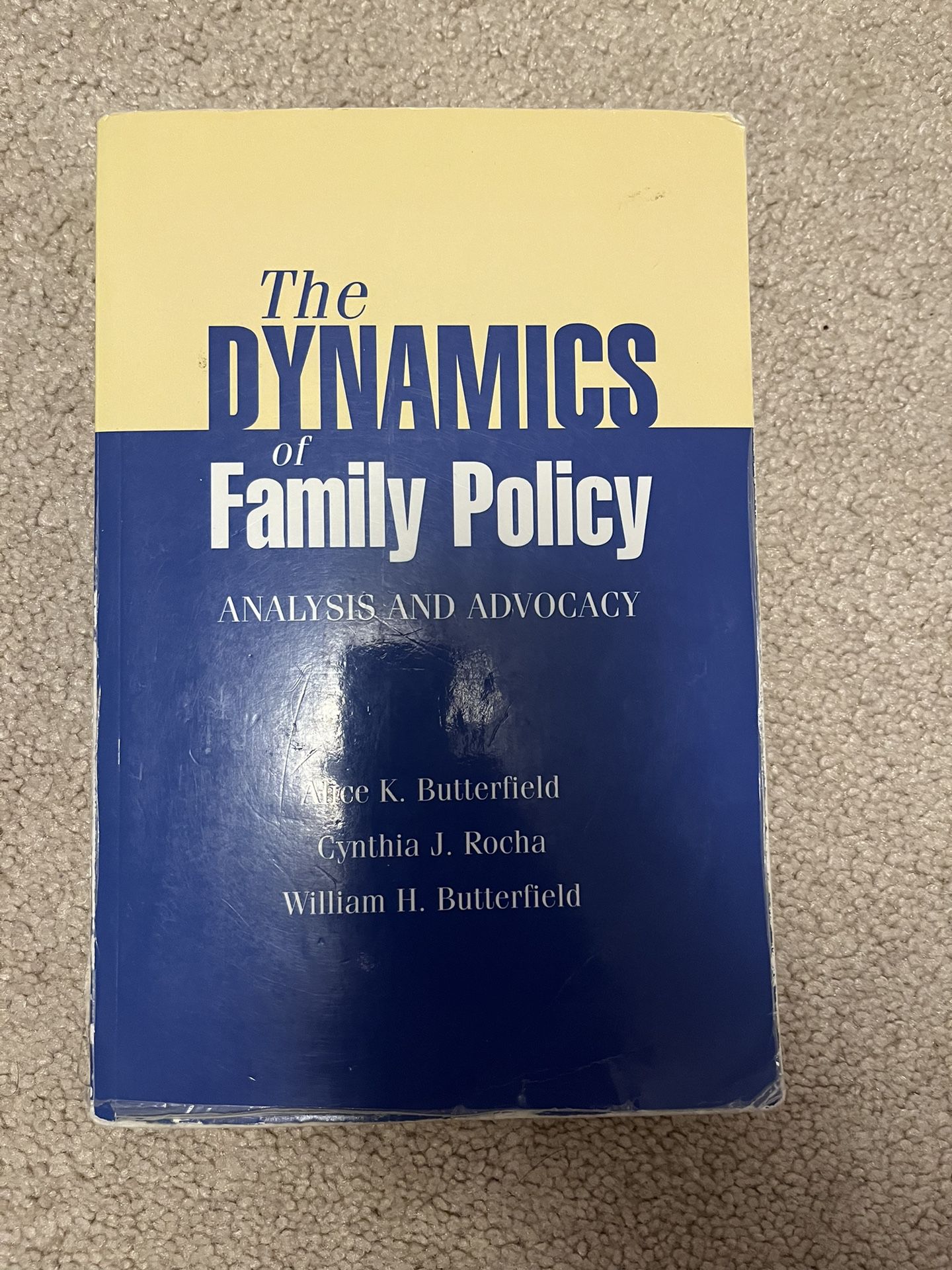 The Dynamics of Family Policy: Analysis and Advocacy