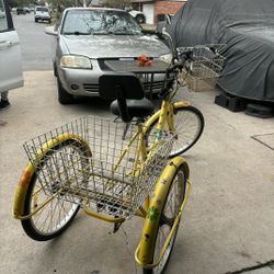 Tricycle For Sale