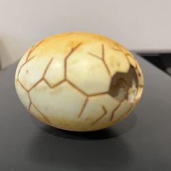 Vintage Jurassic Park, Hatching, Hatched Orange Dinosaur Egg