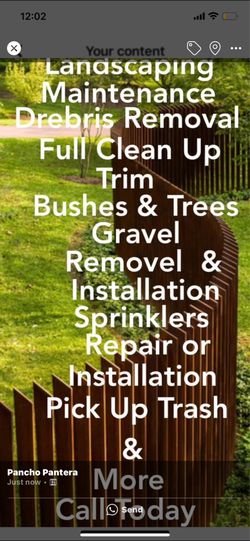 Yard Clean Up - trimming And more