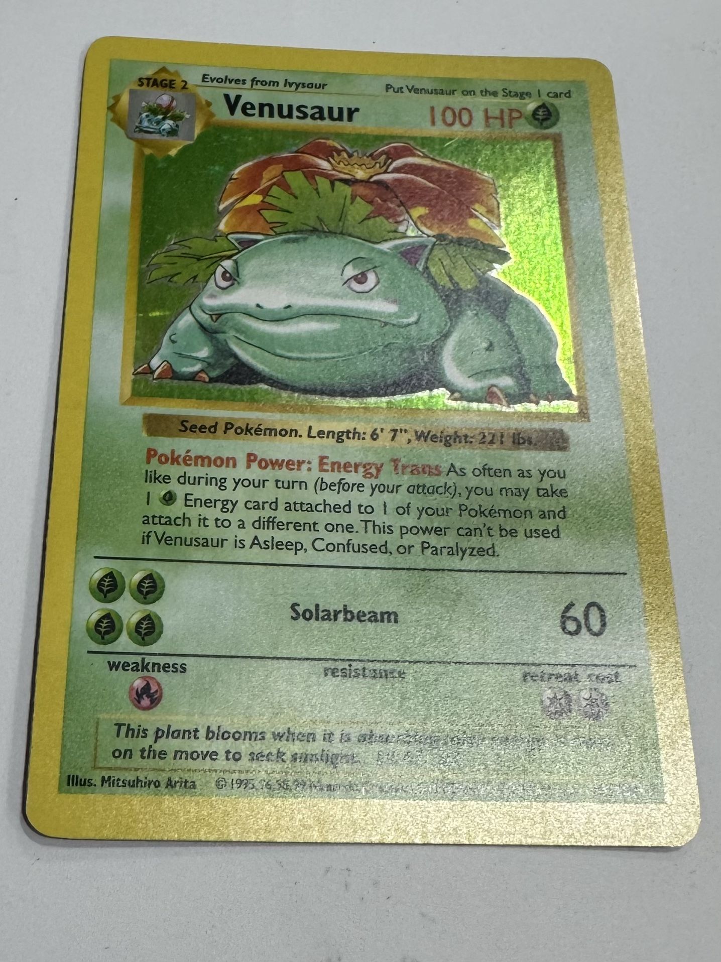 Holographic Shadowless Vensaur
