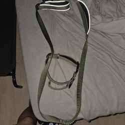 Dog Accessories 
