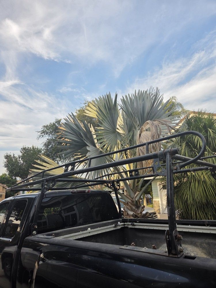 Raka Silverado Short Bed