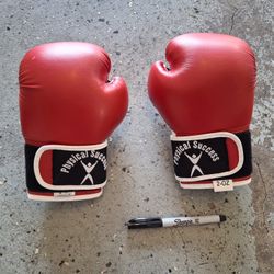 Kids Boxing Gloves 2 Oz