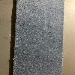 Carpet Brand New 50x26