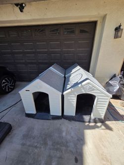 Dog House