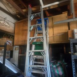 Werner Aluminum Extension Ladder