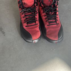 Jordan 12s Size 9.5