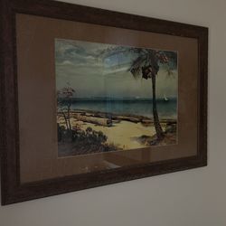 Palm Picture