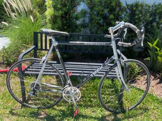 Carbon Fiber Trek bike
