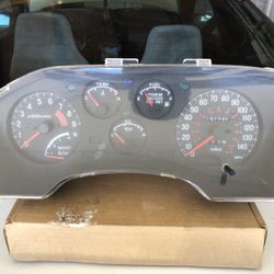 1g DSM gauge Cluster
