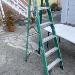 6ft Ladder 