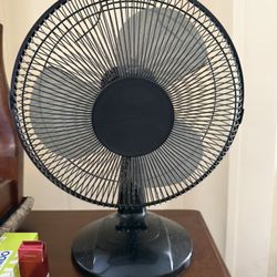Fan