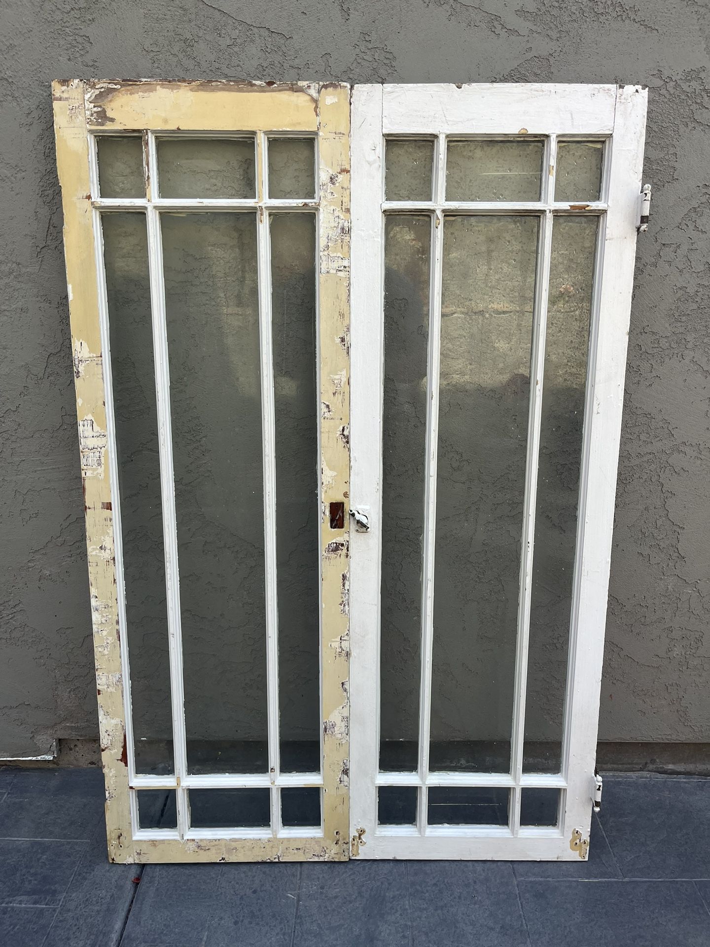 Antique French 9 Light French Windows