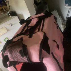 Cat Carry Canvas