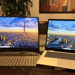 16.1 Inch Portable Monitor