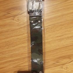 Belt