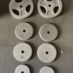 Weights  plates              100 dollars