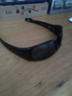 Spy Logan  sunglass