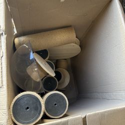 Cat Scratching Environment 