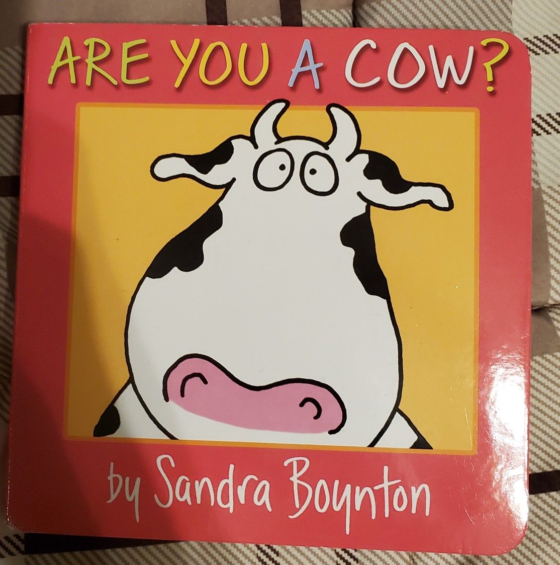 Are You a Cow? Book