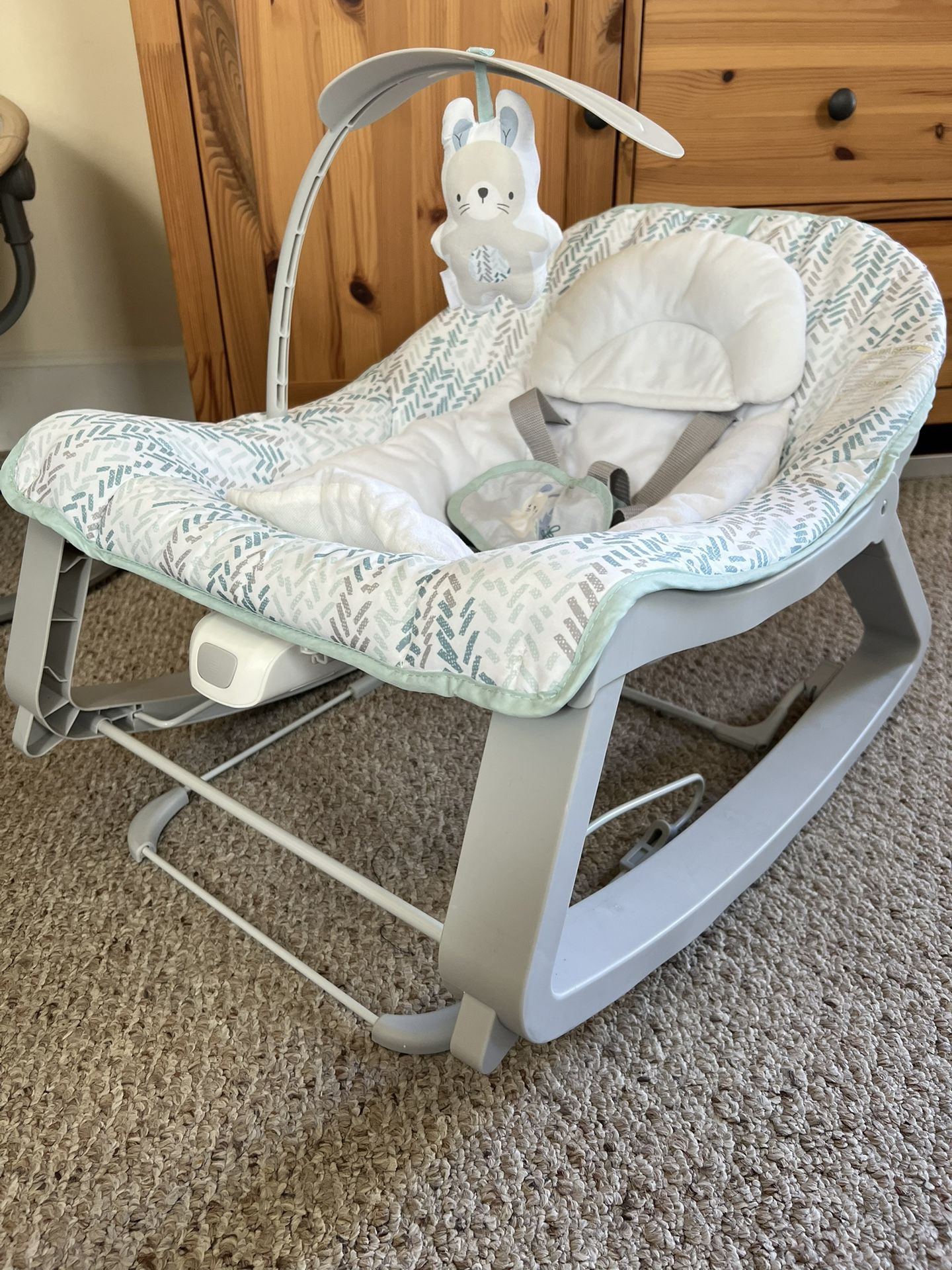 Baby Bouncer