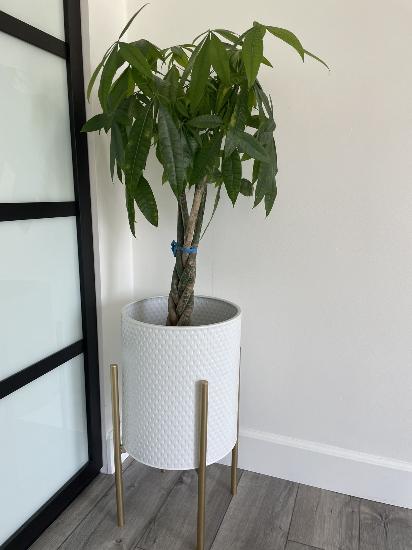 Two 2 Planter Plant Pot