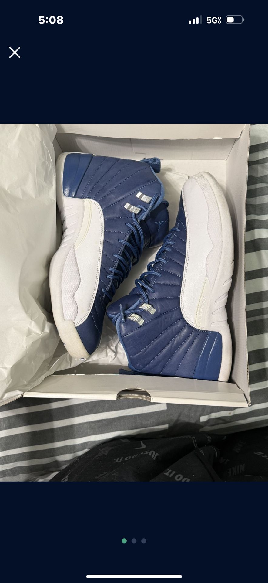 Air Jordan 12