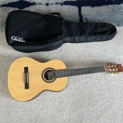 Acoustic Guitar 