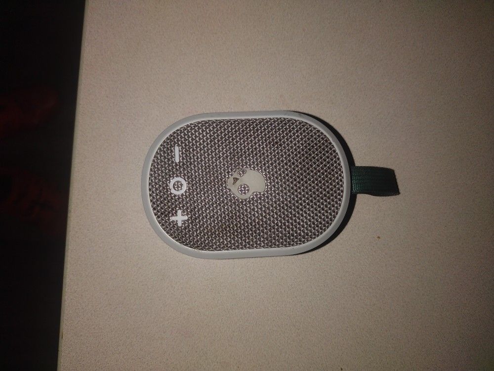 Skullcandy Speaker