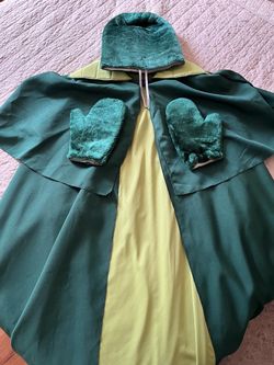 Halloween Costume Wizard of Oz