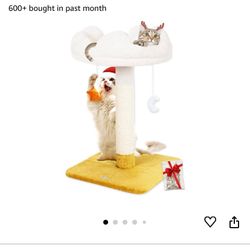 Cat Scratching Post And Bed