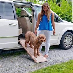 Ramps for Dogs and Cats, Maximum Traction Surface, Portable/Easy-Fold (No Tools Required), Built in