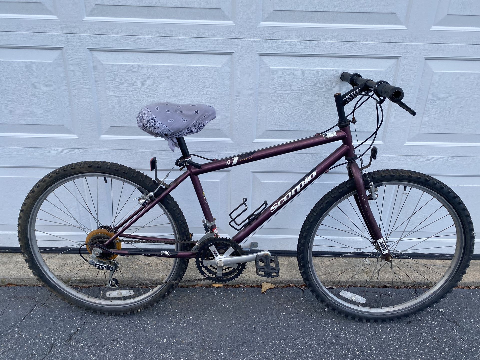 Scorpio Mountain Bike