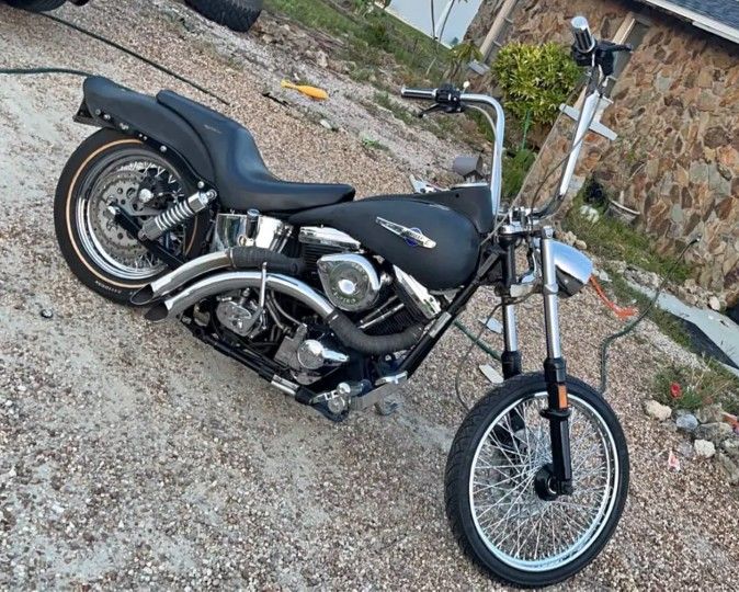 1993 Harley-Davidson Softail