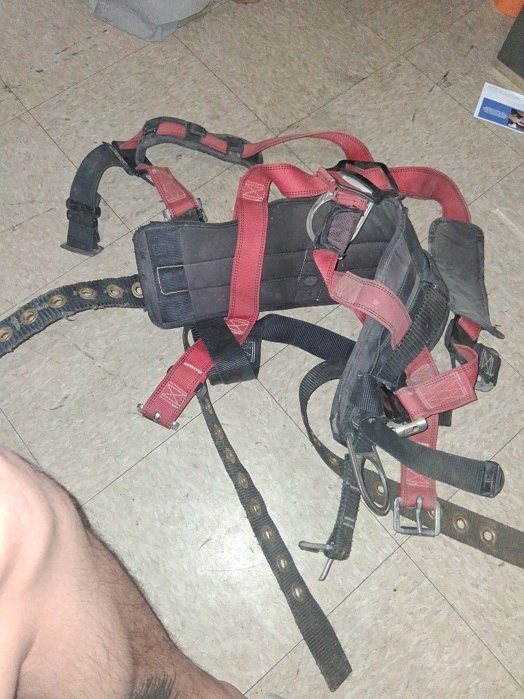 Harness