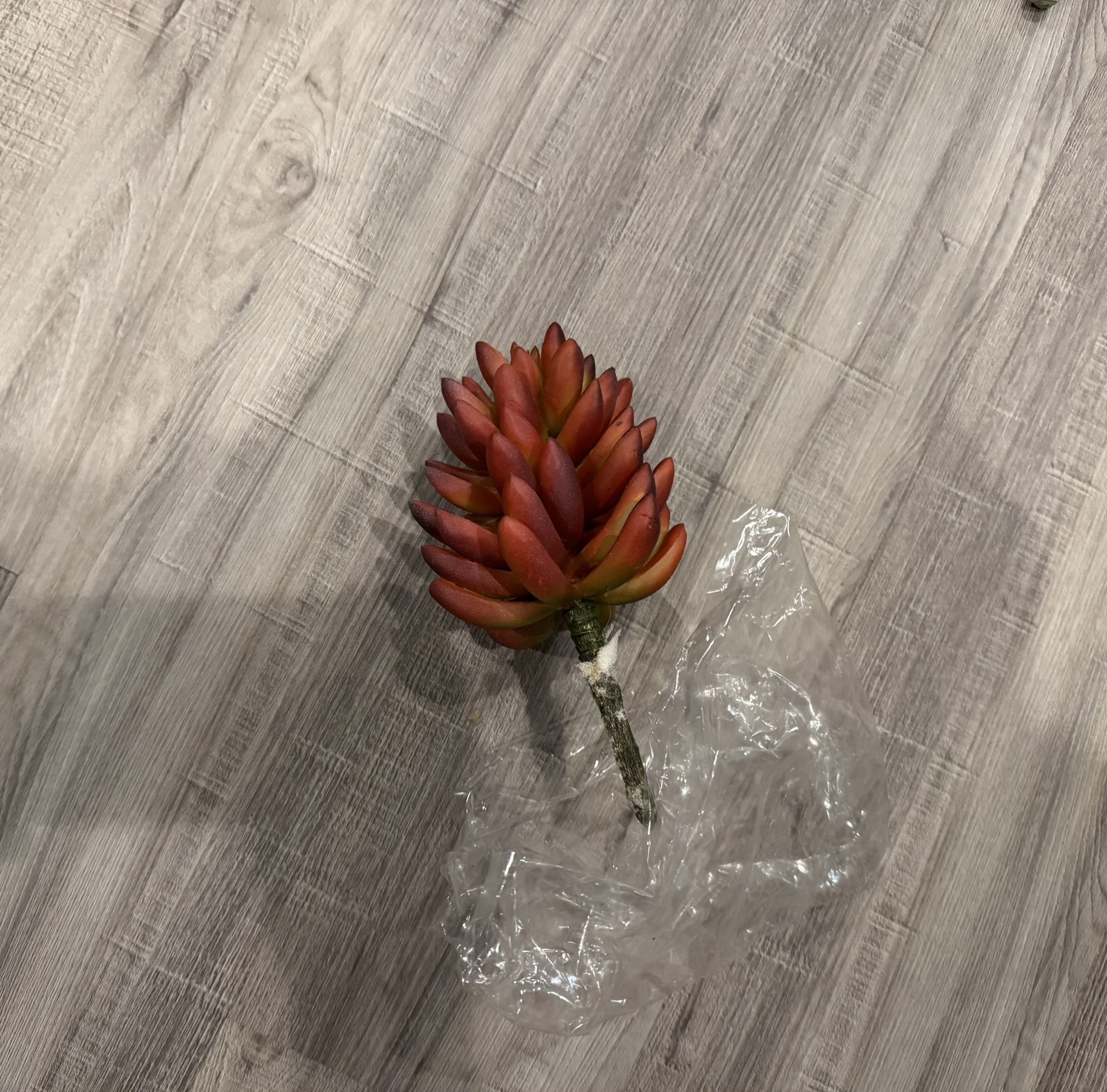 Red Hue Succulent Artificial Plant