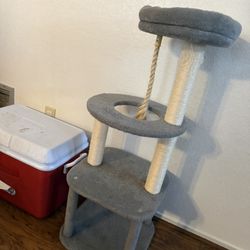 Cat Tree For Sale