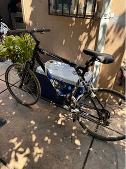 Avalanche bike