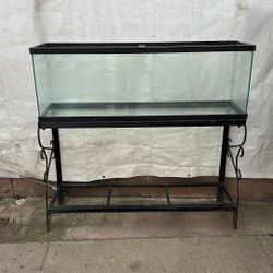 fish/reptile tank